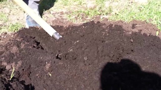 � ������������ ����� �������� ���� �������� �������� �����