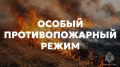 � ������ ���� �� ���������� ������������ ������� ���������������� ����� 300 ����� �����