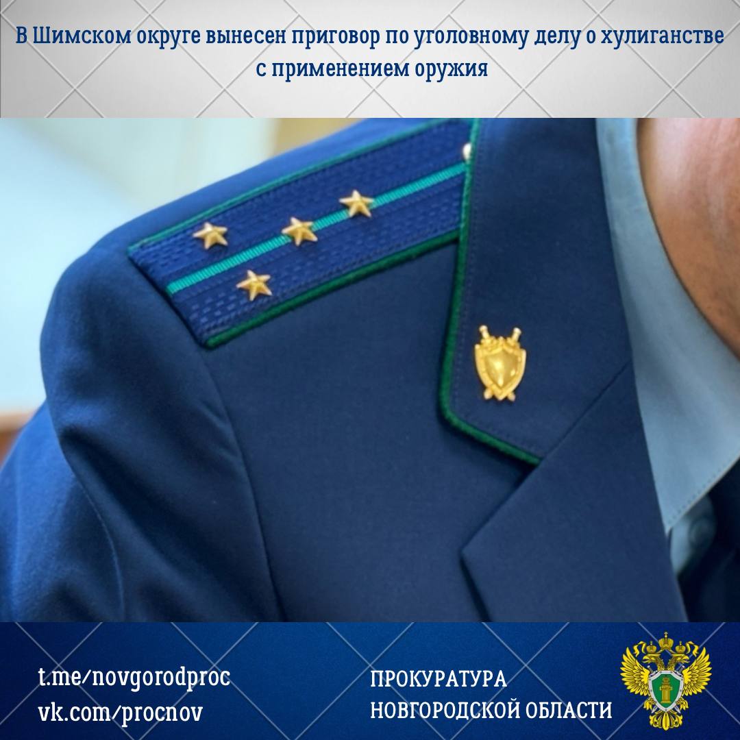 Солецкий районный суд с участием представителя прокуратуры Шимского района вынес обвинительный приговор по уголовному делу в отношении 36-летней жительницы Великого Новгорода Юлии Занкиной
