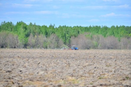 Посевная в Новгородской области завершится в середине июня