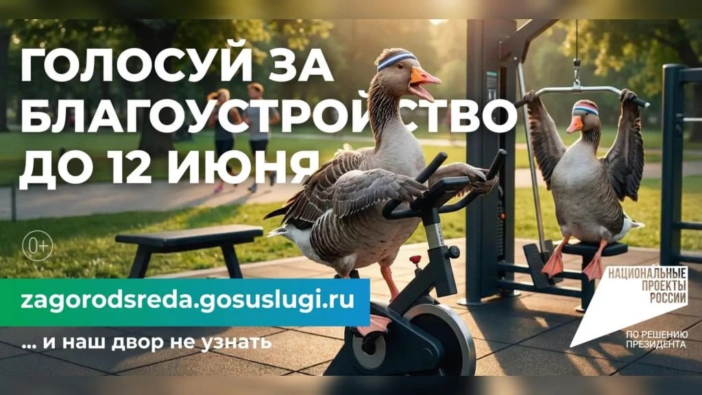 Вжух – и даже пустырь может стать парком!
