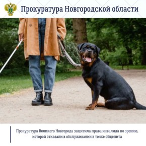 Прокуратура Великого Новгорода по обращению местной жительницы провела проверку соблюдения законодательства о социальной защите инвалидов