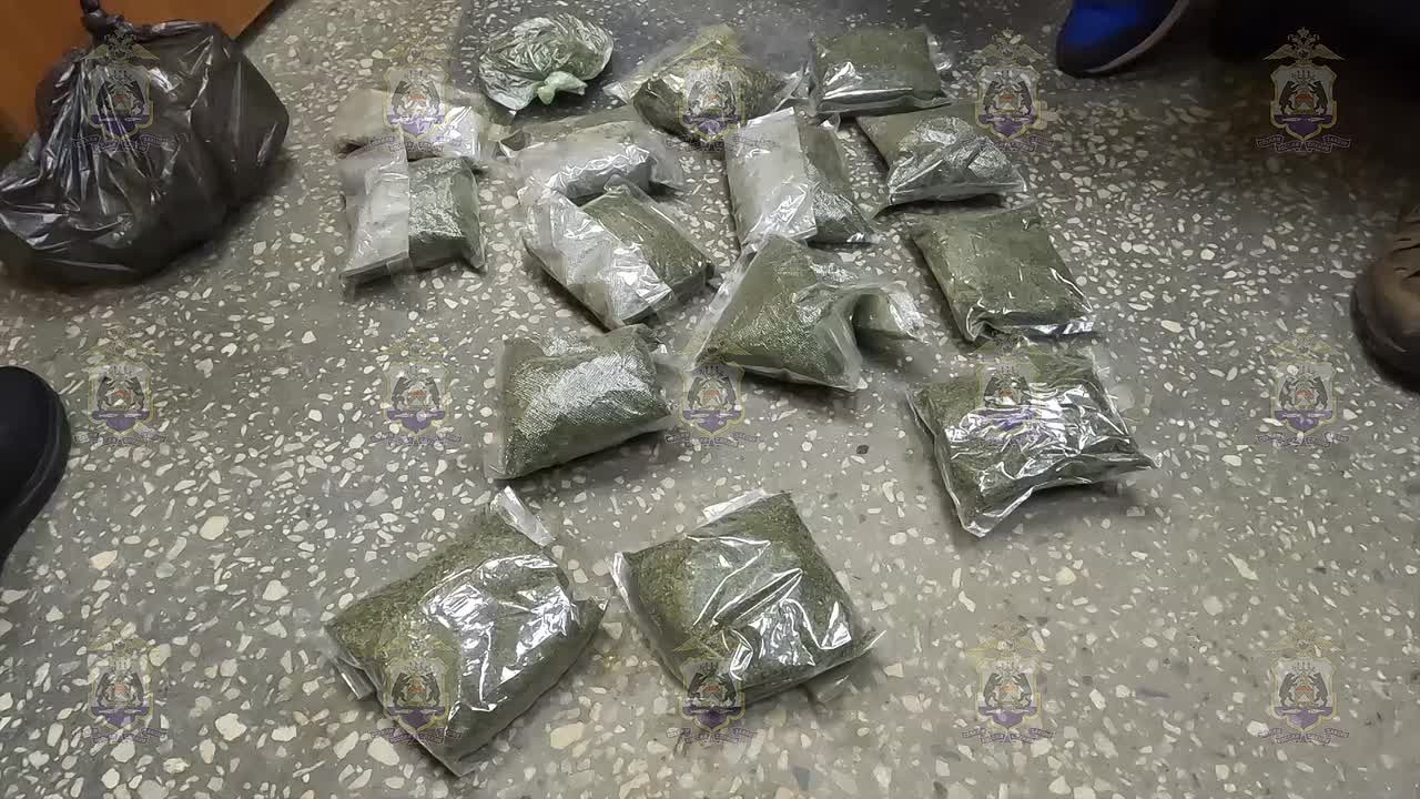 В Великом Новгороде задержаны работники наркошопа, прятавшие марихуану в подвесном потолке офиса