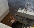 На Волхове в Великом Новгороде заметили купающихся детей