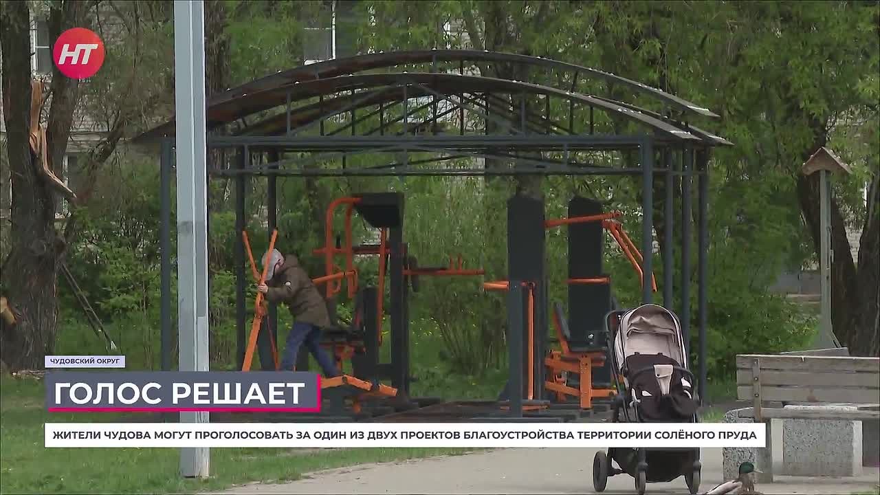 В Чудове проходит голосование за благоустройство Солёного пруда