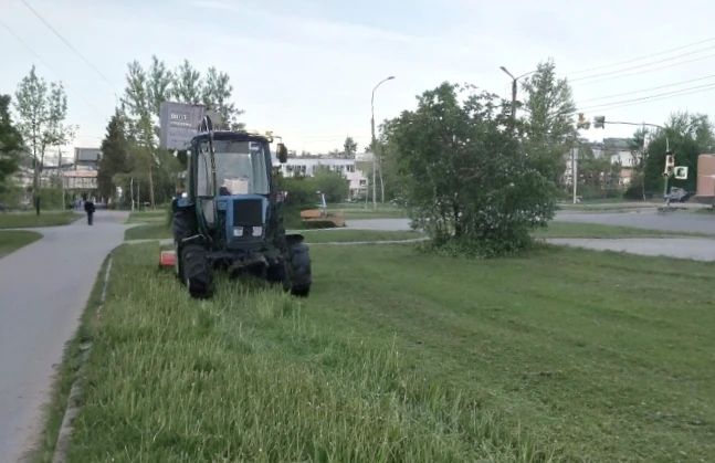 Александр Розбаум: Уважаемые Новгородцы!. После дождливых дней установилась жаркая погода, что способствует интенсивному росту травы Александр Розбаум: Уважаемые Новгородцы!. После дождливых дней установилась жаркая погода, что способствует интенсивному росту травы