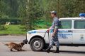 � ������������ ������� ��������-������ ������������� � ������� �������������� ������, ��������� ������ � ����������������