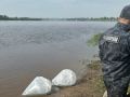 В реку Ловать в Старорусском округе выпустили 65 тысяч личинок щуки