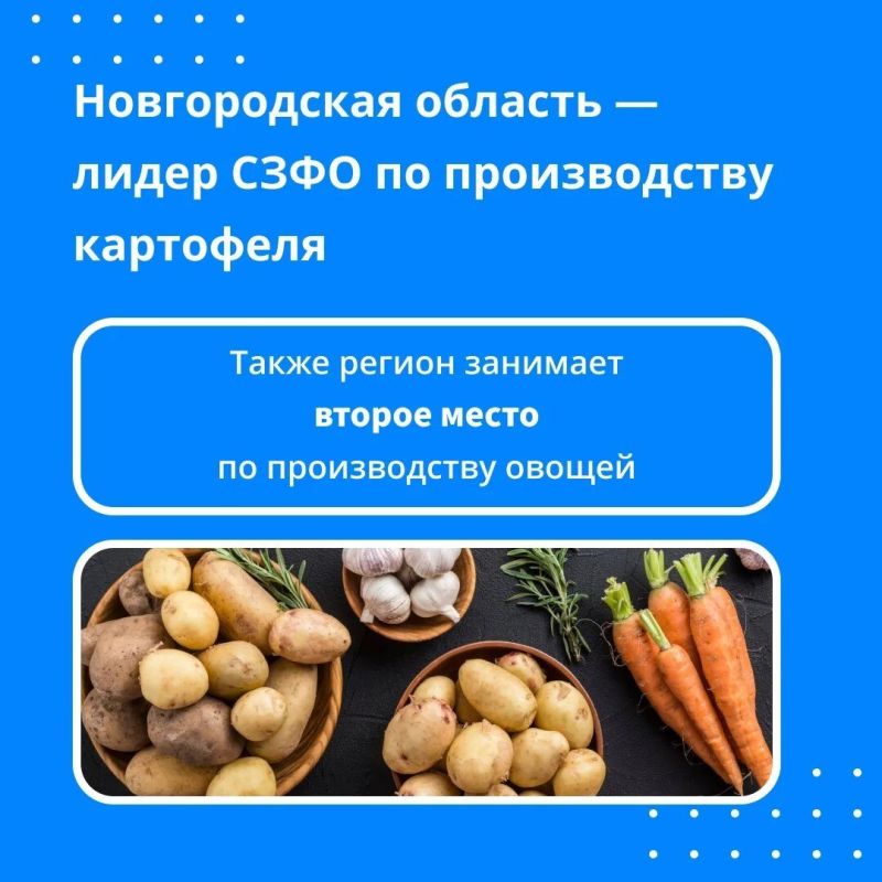 Губернатор Новгородской области Александр Дронов выступил с отчетом перед областной Думой и рассказал об итогах 2025 года Губернатор Новгородской области Александр Дронов выступил с отчетом перед областной Думой и рассказал об итогах 2025 года