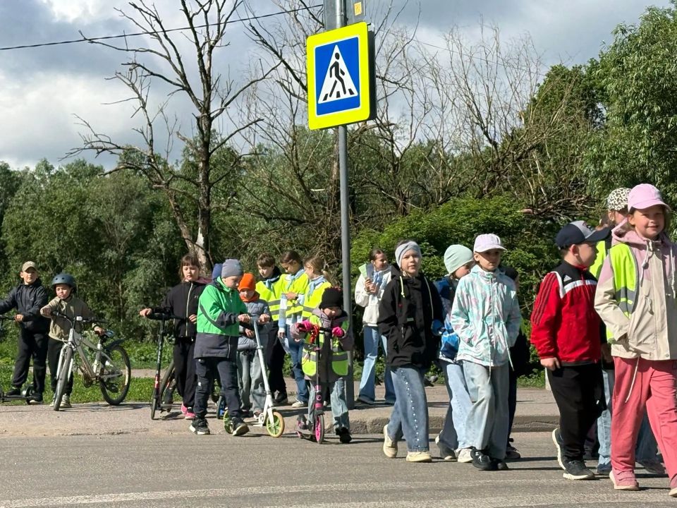 Безопасное лето: сотрудники Госавтоинспекции проводят уроки в школьных лагерях Безопасное лето: сотрудники Госавтоинспекции проводят уроки в школьных лагерях
