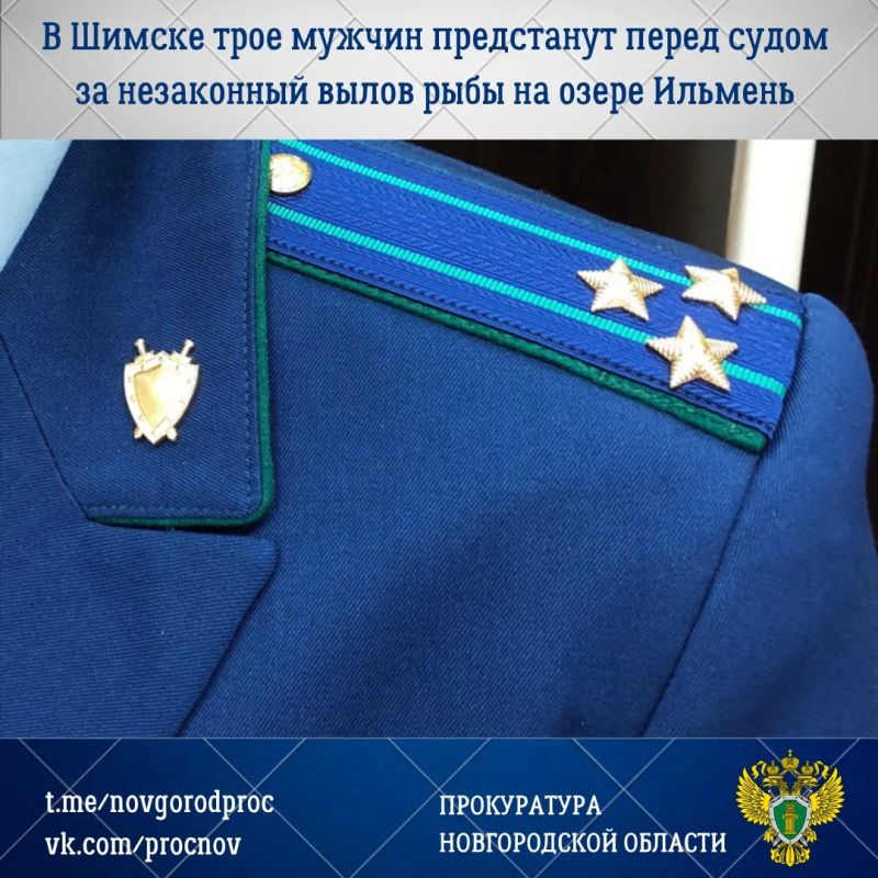 Прокуратура Шимского района направила в суд уголовное дело в отношении трех жителей Санкт-Петербурга в возрасте от 44 до 56 лет