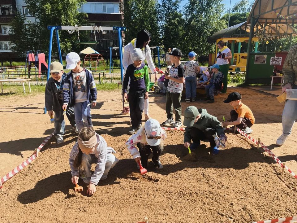 «Летний Профи-парк» стартовал в Великом Новгороде «Летний Профи-парк» стартовал в Великом Новгороде
