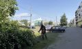 Александр Розбаум: Уважаемые Новгородцы!. . Окос травы на городских и неразграниченных территориях проводится ежедневно Работы ведутся с помощью ручных триммеров, специальной малогабаритной техники и тракторов