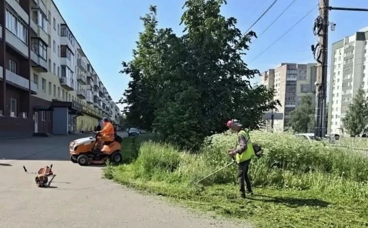 Александр Розбаум: Уважаемые Новгородцы!. . Окос травы на городских и неразграниченных территориях проводится ежедневно Работы ведутся с помощью ручных триммеров, специальной малогабаритной техники и тракторов Александр Розбаум: Уважаемые Новгородцы!. . Окос травы на городских и неразграниченных территориях проводится ежедневно Работы ведутся с помощью ручных триммеров, специальной малогабаритной техники и тракторов