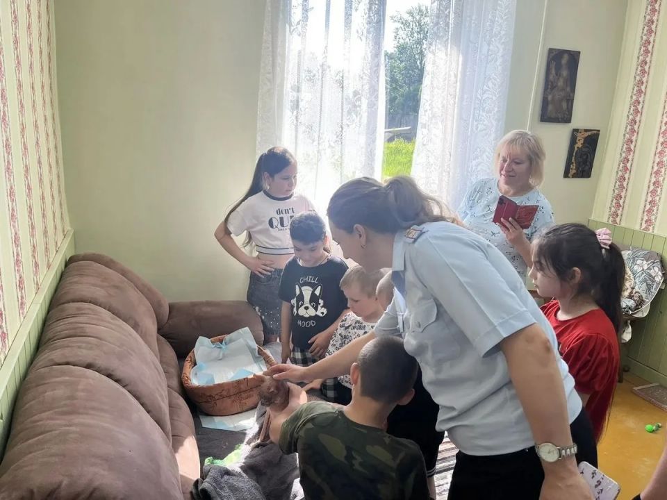 Лапы, краски, безопасность: новгородские полицейские организовали мастер-класс для детей из реабилитационного Центра Лапы, краски, безопасность: новгородские полицейские организовали мастер-класс для детей из реабилитационного Центра