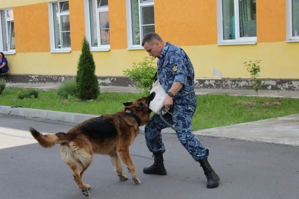 В Великом Новгороде сотрудники правоохранительных органов и общественники поздравили школьников с началом летних каникул В Великом Новгороде сотрудники правоохранительных органов и общественники поздравили школьников с началом летних каникул