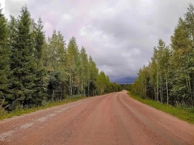 20 июня в Батецком округе временно перекроют региональные дороги