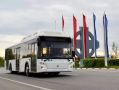 Стартовал прием документов в рамках программы «Новгородский водитель»