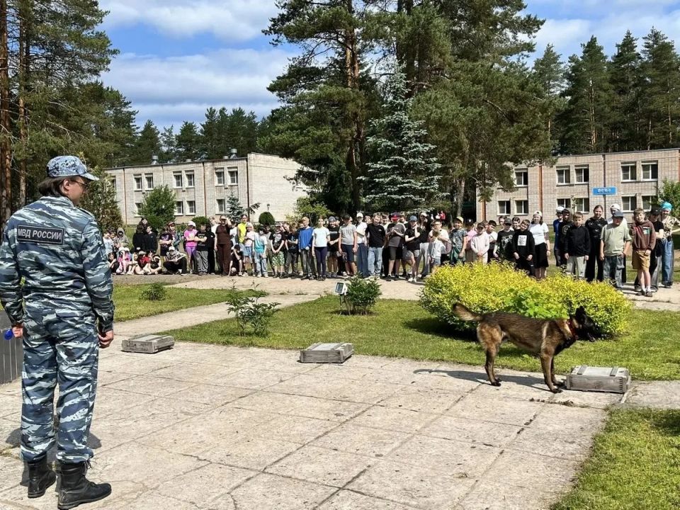 Каникулы под защитой: в лагере «Парус» прошёл день безопасности Каникулы под защитой: в лагере «Парус» прошёл день безопасности