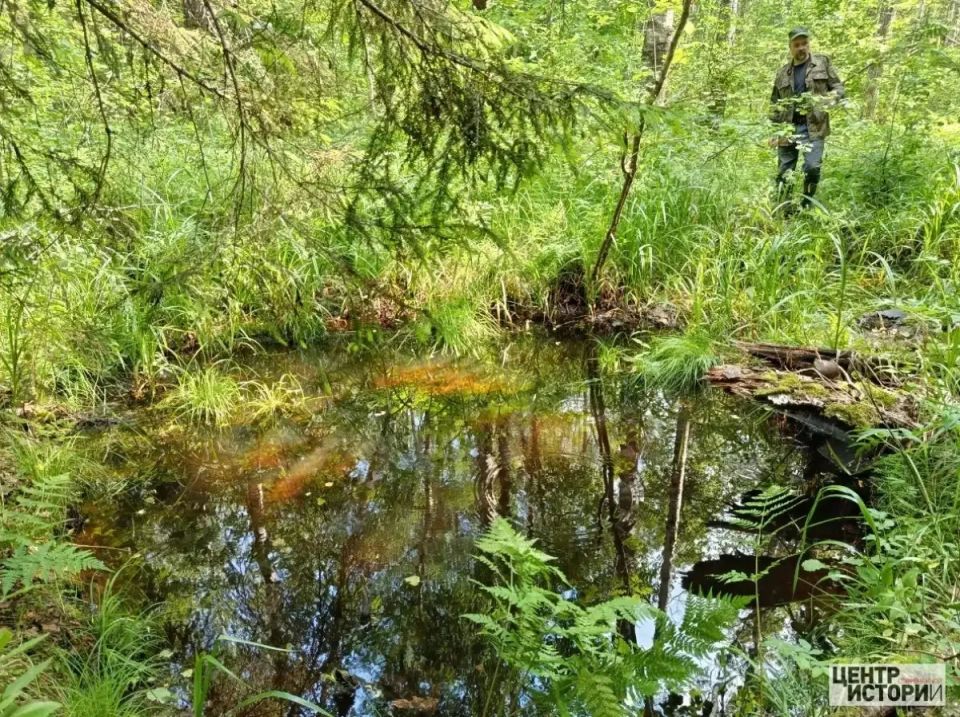 Поисковики узнали имя пилота штурмовика Ил-2, разбившегося в Парфинском округе Поисковики узнали имя пилота штурмовика Ил-2, разбившегося в Парфинском округе