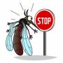 Естественная защита от насекомых: пять растений, которые помогут вам в этом