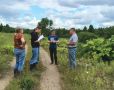 Эффективность борьбы с борщевиком в Новгородской области оценит Россельхозцентр