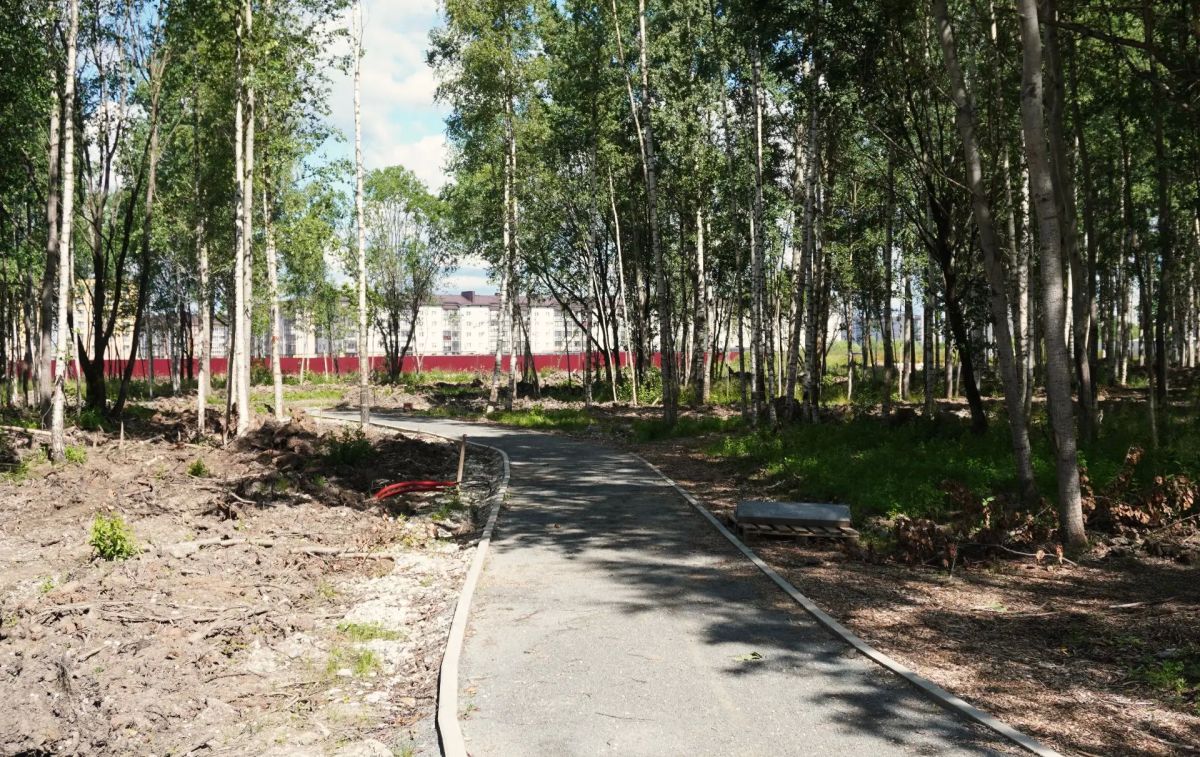 Александр Розбаум: Уважаемые Новгородцы!. . Продолжаем работы по благоустройству территории парка «Берёзовая роща» Александр Розбаум: Уважаемые Новгородцы!. . Продолжаем работы по благоустройству территории парка «Берёзовая роща»