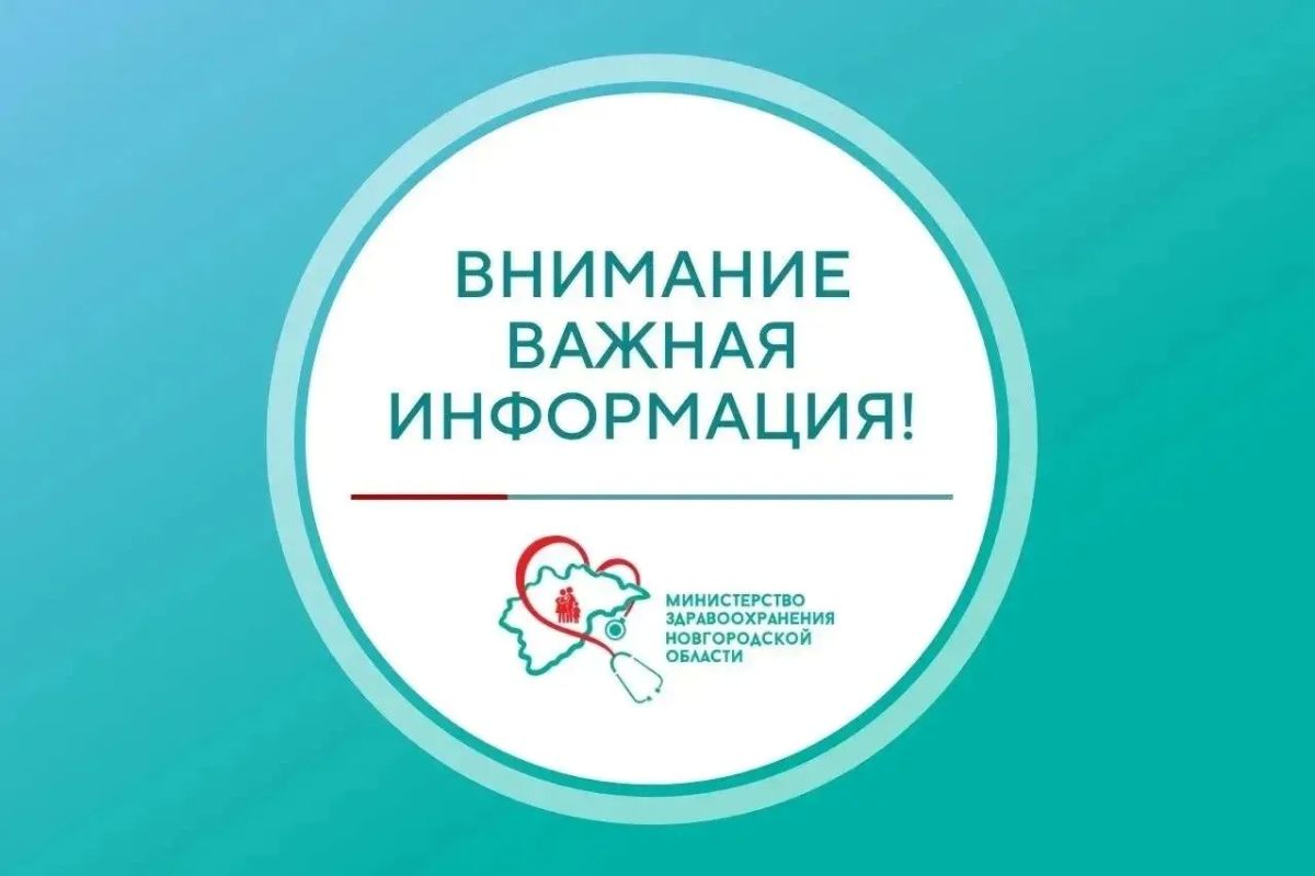 Комментарий Минздрава Новгородской области по информации, опубликованной в социальных сетях, о падении дерева в Кремлёвском парке Великого Новгорода: