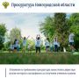 Прокуратура Хвойнинского района провела проверку соблюдения законодательства об образовании