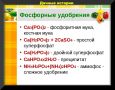 ��� ����� ����� ������� � �������������������: ��� ��������� ������������� �������� ��������