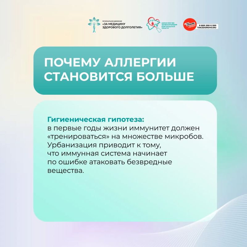 Как возникает аллергия?. Сергей Нора, главный внештатный специалист аллерголог-иммунолог Минздрава Новгородской области: Почему аллергии становится больше Как возникает аллергия?. Сергей Нора, главный внештатный специалист аллерголог-иммунолог Минздрава Новгородской области: Почему аллергии становится больше