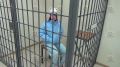 Суд вынес приговор юной пособнице аферистов, похитившей 2,6 млн рублей у четырёх жителей Новгородской области