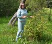 Устранение пожелтения листьев смородины и крыжовника: основные причины и решения