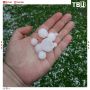 Более 14 тысяч жителей Новгородской области остались без света из-за непогоды