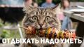 Собрался на дачу? Захвати хорошее настроение… и правила пожарной безопасности!