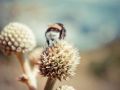 ��������, ������� ���������� �������: ��� �������� ���� ���
