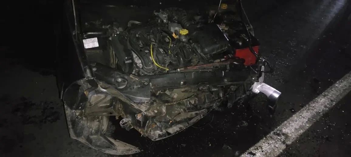 В результате ДТП с участием дикого животного пострадали 2 человека В результате ДТП с участием дикого животного пострадали 2 человека