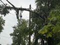 В Парфинском округе аварийные участки ЛЭП ищут с помощью БПЛА