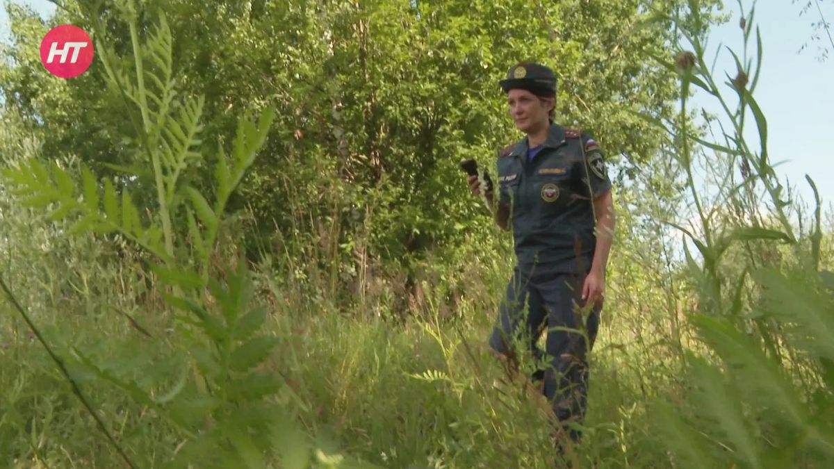 Спасатели напоминают новгородцам, как безопасно отправляться за ягодами и грибами
