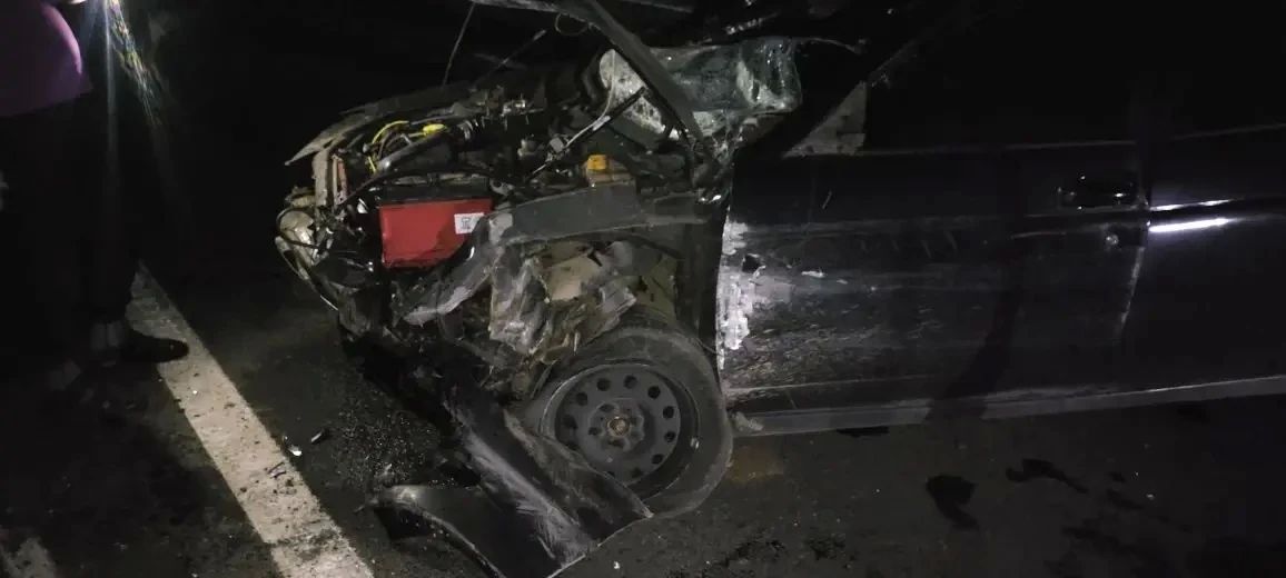 В результате ДТП с участием дикого животного пострадали 2 человека В результате ДТП с участием дикого животного пострадали 2 человека