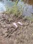 Трагедия на воде!. Днем 13 июля на берегу реки Лужонка в деревне Лужно Демянского округа (в необорудованном для купания месте) утонули женщина и ребенок