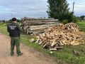 В Новгородской области местному жителю предъявлено обвинение в совершении особо тяжких преступлений
