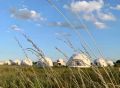 В бывшем коровнике под Старой Руссе откроют арт-галерею