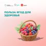 Польза ягод для здоровья. Сезон ягод сейчас в самом разгаре