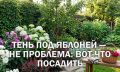 Компаньоны для яблони: как создать идеальный сад без лишних хлопот