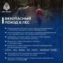Чем дальше в лес, тем больше дров шансов потеряться