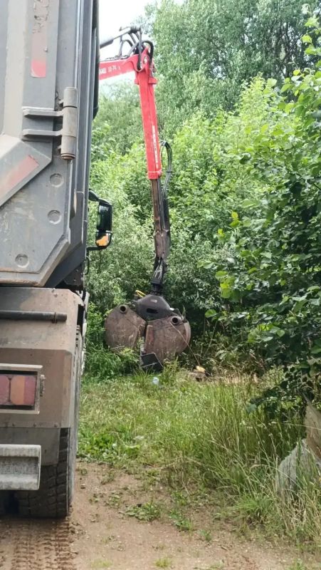 Новгородское минприроды предупредило: свалки любят хищники, змеи и борщевик Новгородское минприроды предупредило: свалки любят хищники, змеи и борщевик