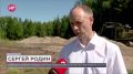 В Старорусском лесничестве начали строительство теплицы для выращивания елей