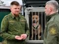 В одном из домов в Великом Новгороде обнаружено тело женщины