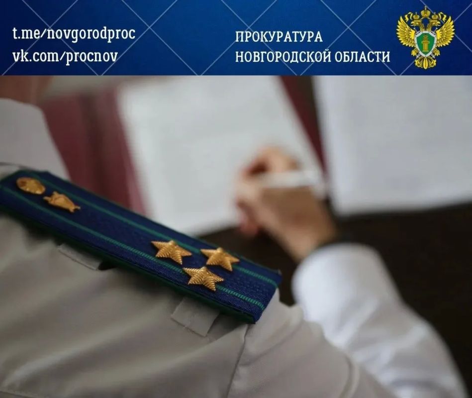 По поручению и.о. прокурора области Павла Россоловского организована проверка по факту падения дерева на женщину